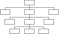 ライン組織の図